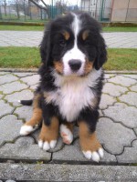 /album/a7-tyzden-7th-week/chilli-i-jpg/